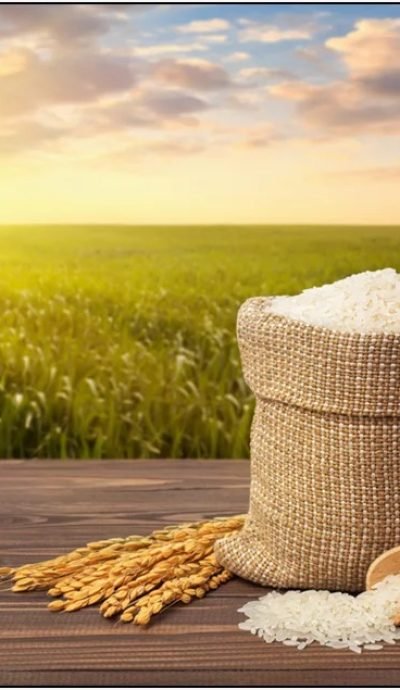 WhatsApp Image 2025-06-26 at 5.03.20 PM