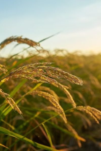 WhatsApp Image 2025-06-26 at 6.14.07 PM (2)